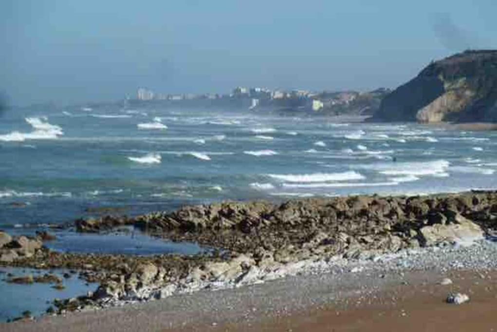 Bidart Cote Basque T3 250 Metres De La Plage 3*** Daire Dış mekan fotoğraf